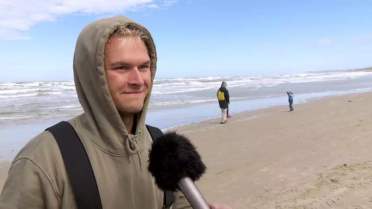 Max' badehus er totaltsmadret: - Der er ikke så meget at gøre ved det. Man må bare bygge nyt