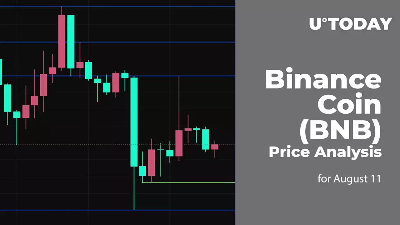 Binance Coin (BNB) Price Analysis for August 11