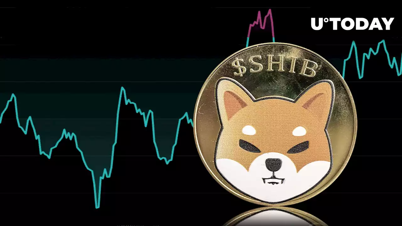 Shiba Inu Price Erases One Zero as Traders Shift Focus to SHIB