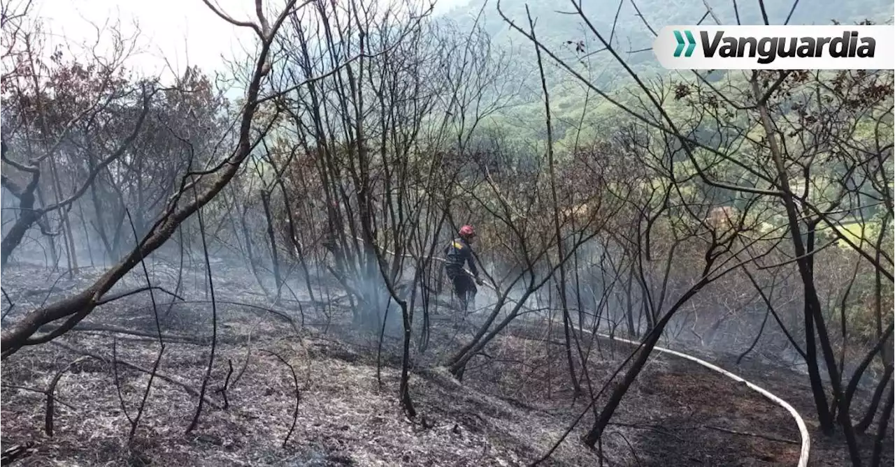 Controlaron fuerte incendio en zona boscosa de Floridablanca