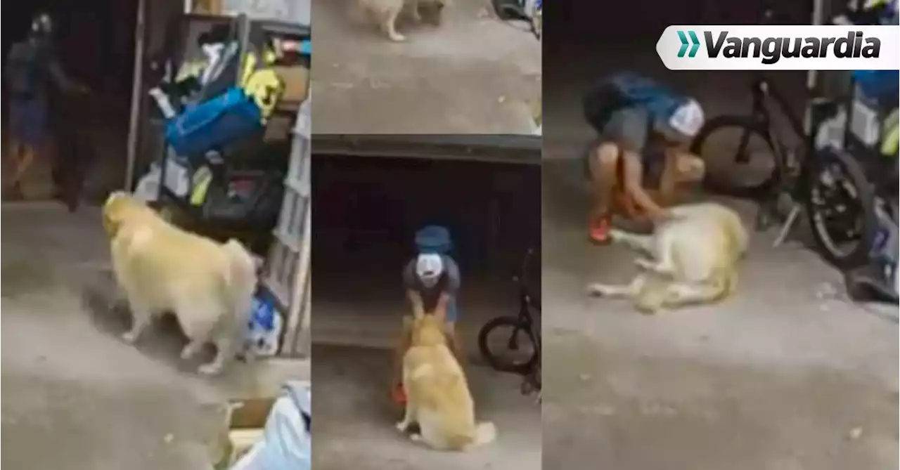 Video: Hombre fue a robar a una vivienda y se quedó jugando con el perro