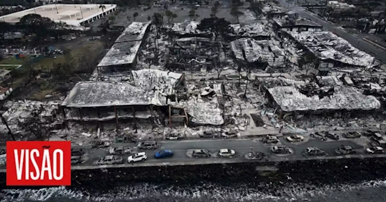 Visão | As imagens da destruição dos incêndios em Maui, já considerado o 'maior desastre natural na história do estado do Havai'