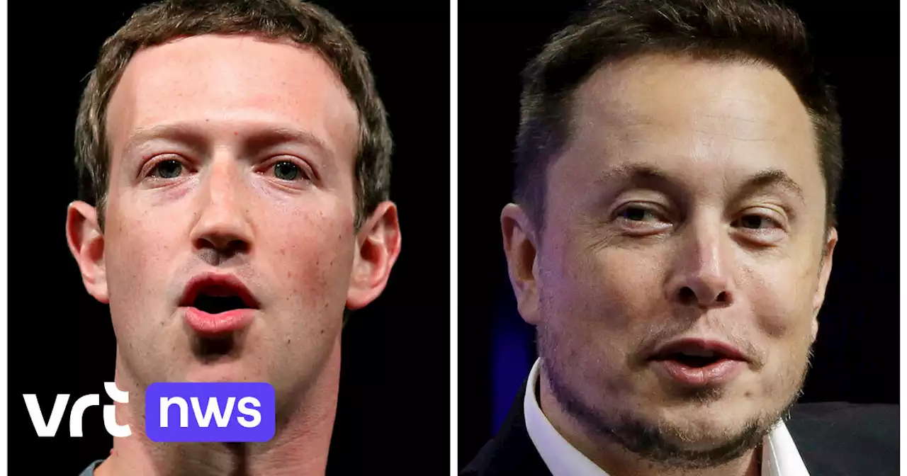 'Gladiator': kooigevecht tussen Elon Musk en Mark Zuckerberg kan georganiseerd worden op historische locatie in Italië