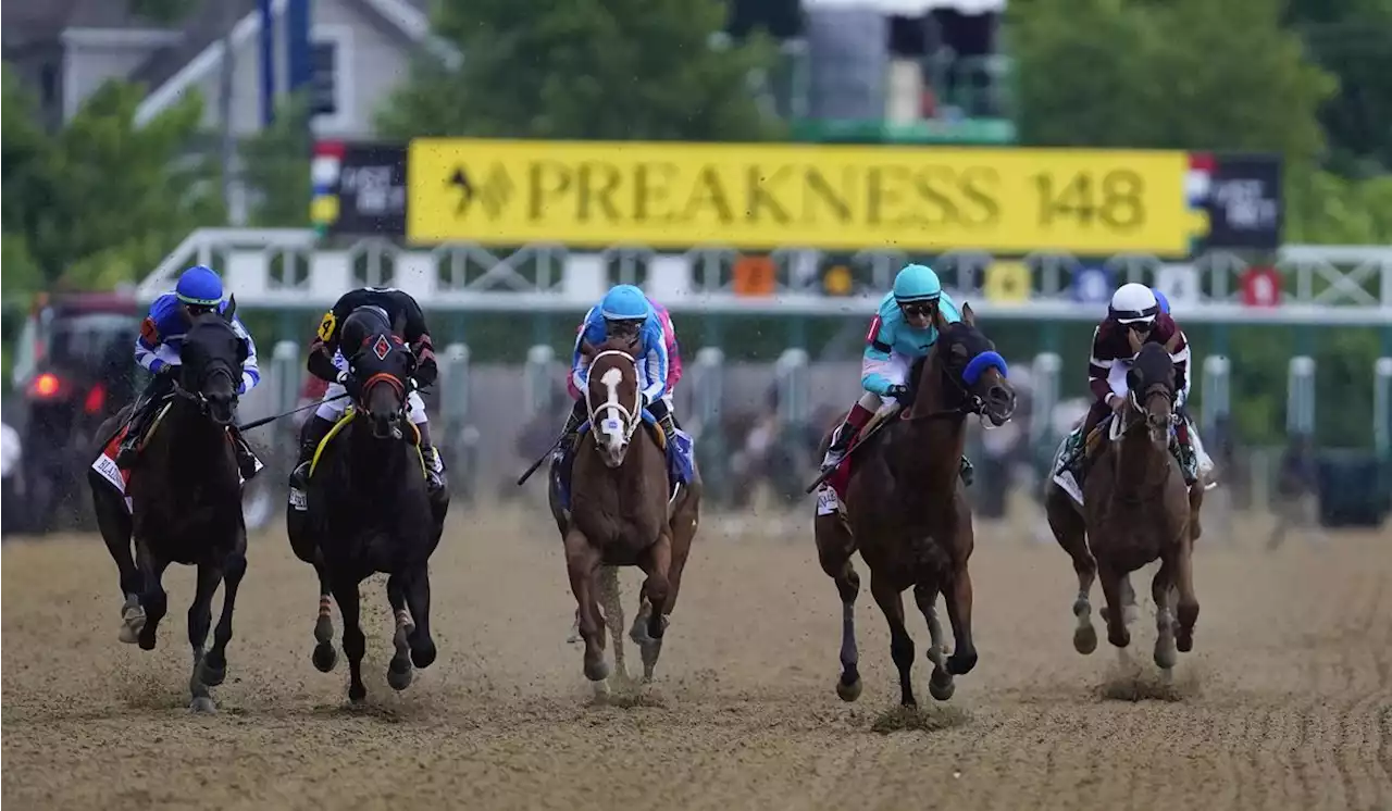 Preakness officials say they’re considering changing the timing of the second Triple Crown race