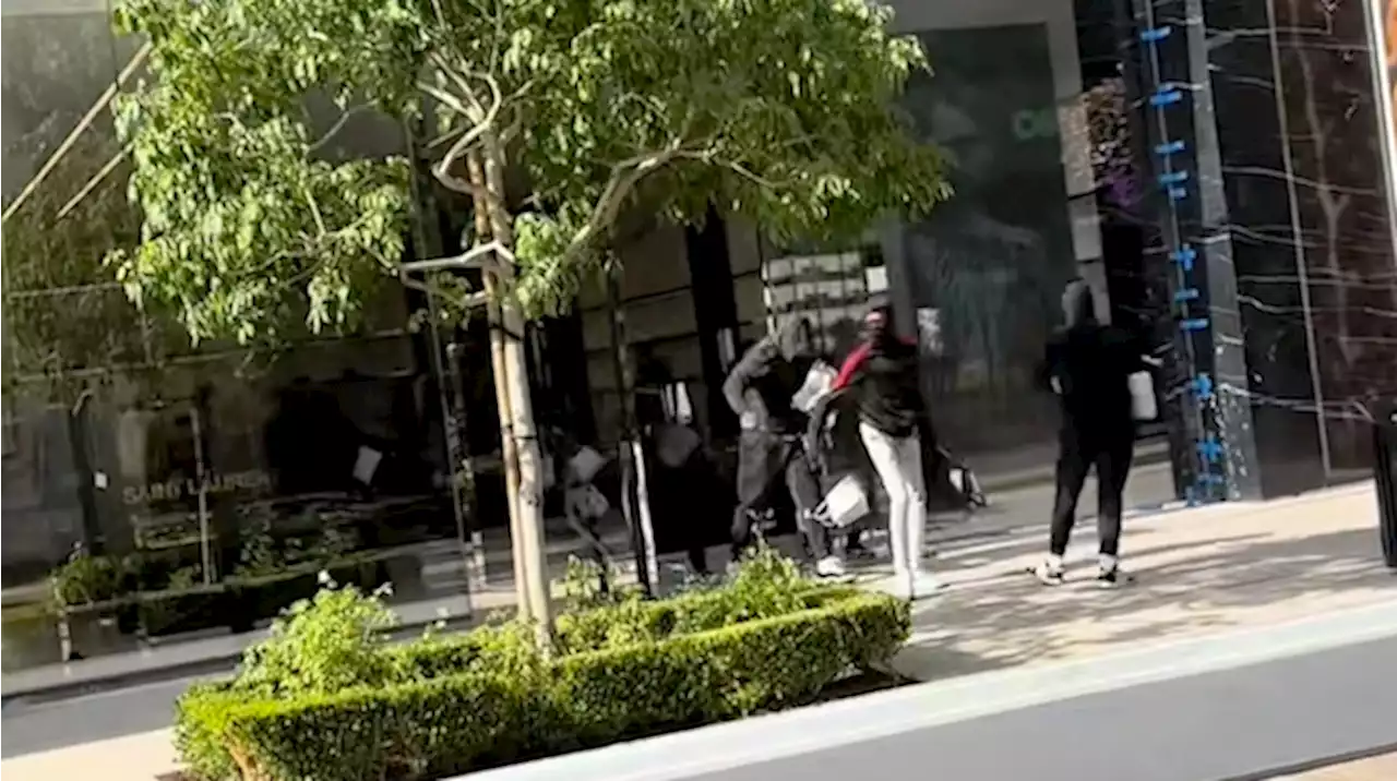 Video shows suspects steal $300,000 worth of designer goods in 'flash mob burglary'