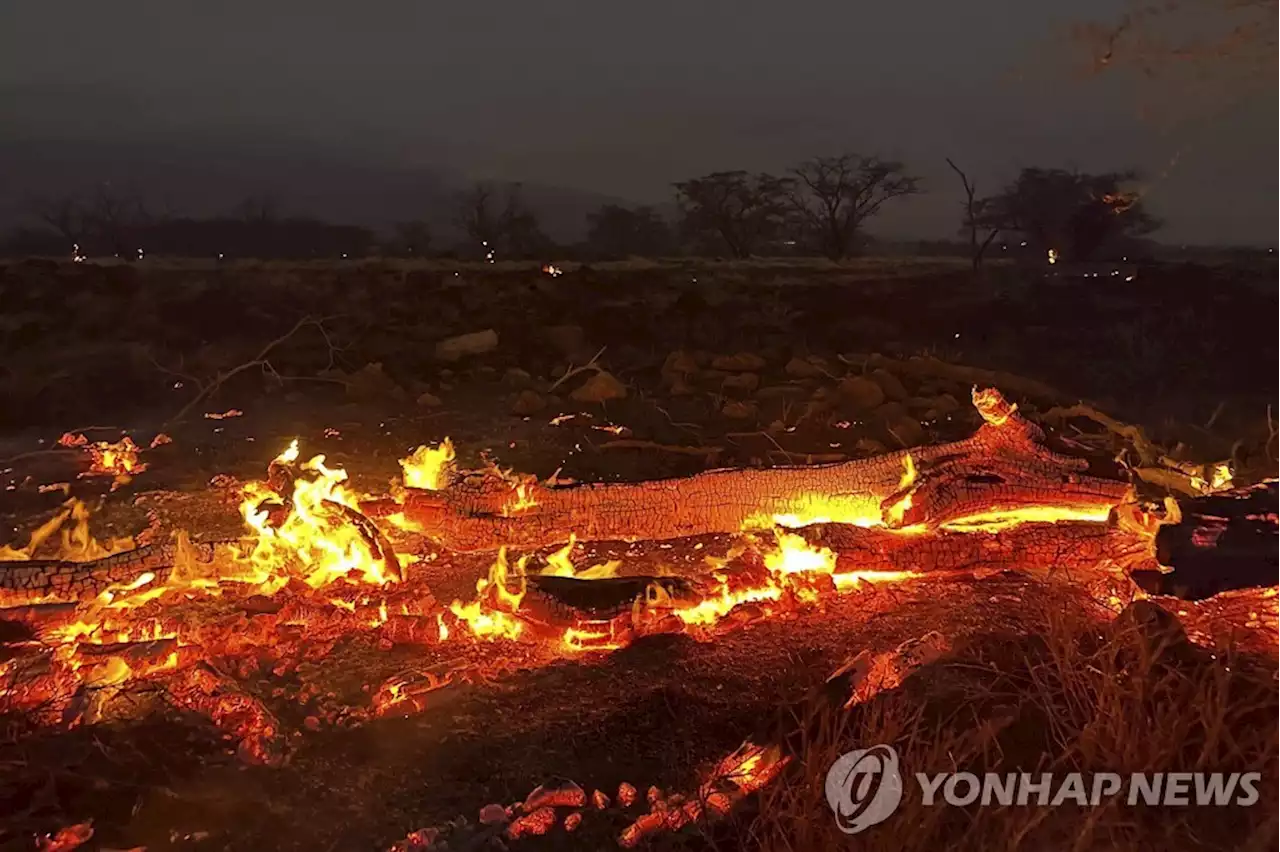 하와이 사흘째 산불 대란…53명 숨지고 공항서 수천명 발동동(종합) | 연합뉴스