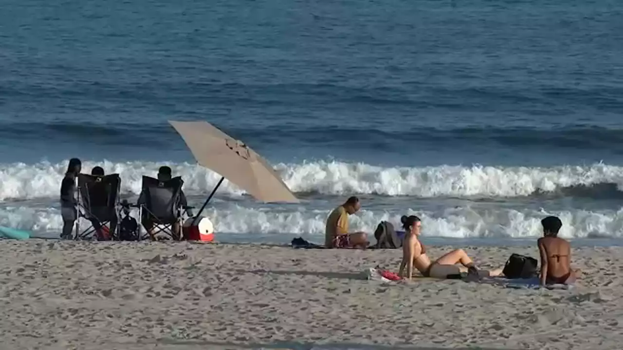 Shark-spotting drones to be at NYC beaches every day through rest of summer