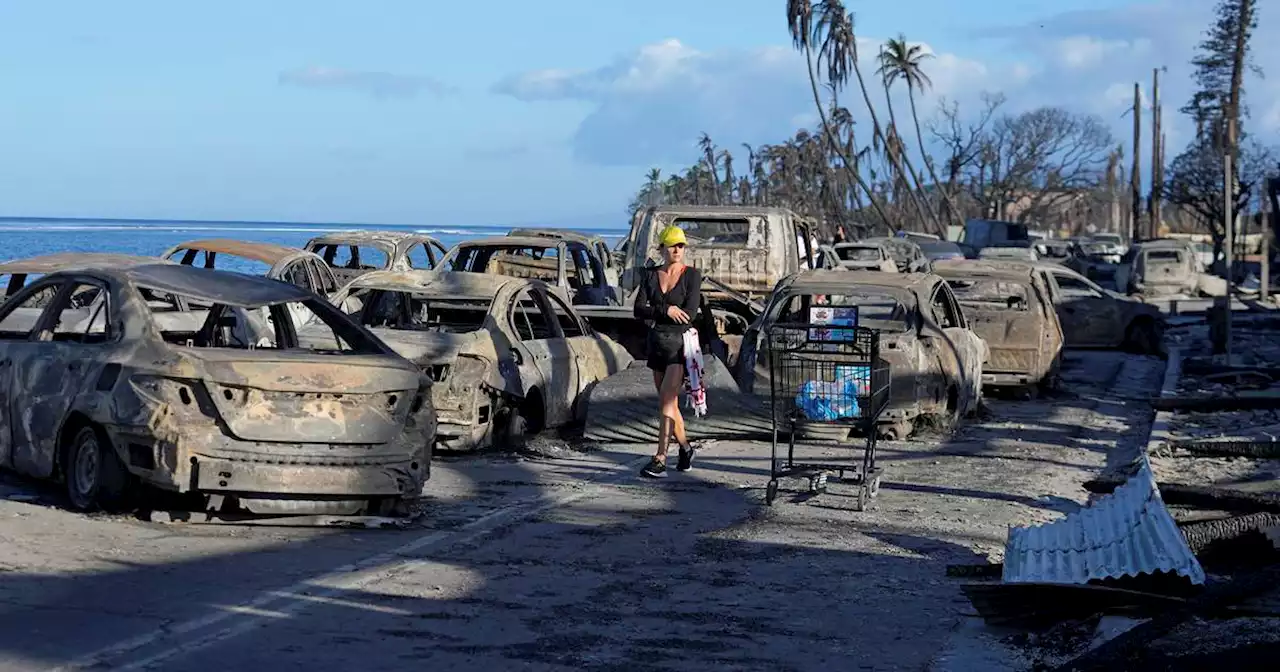 Death toll from Maui wildfires rises to 67 as survivors begin returning home to assess damage