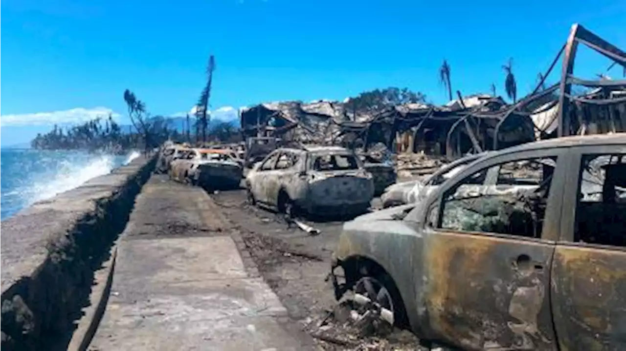 Son 80 los muertos por los incendios forestales en Maui