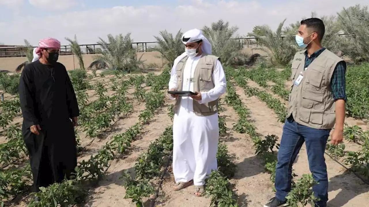 دعوة ملاك المزارع لعدم ممارسة أي نشاط تجاري دون ترخيص | صحيفة الخليج