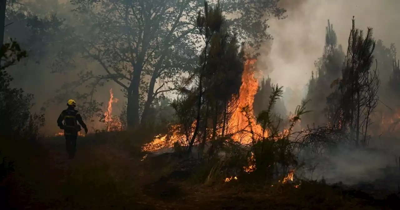 Alerta en La Guajira por inminente riesgo de incendios forestales en varios municipios