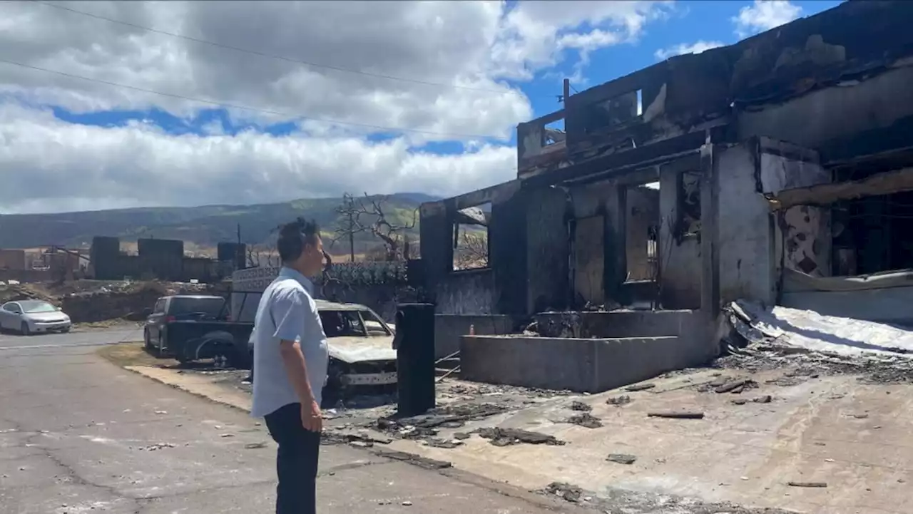 'It's gone': Stunned residents find nothing but ashes in Hawaii wildfire town