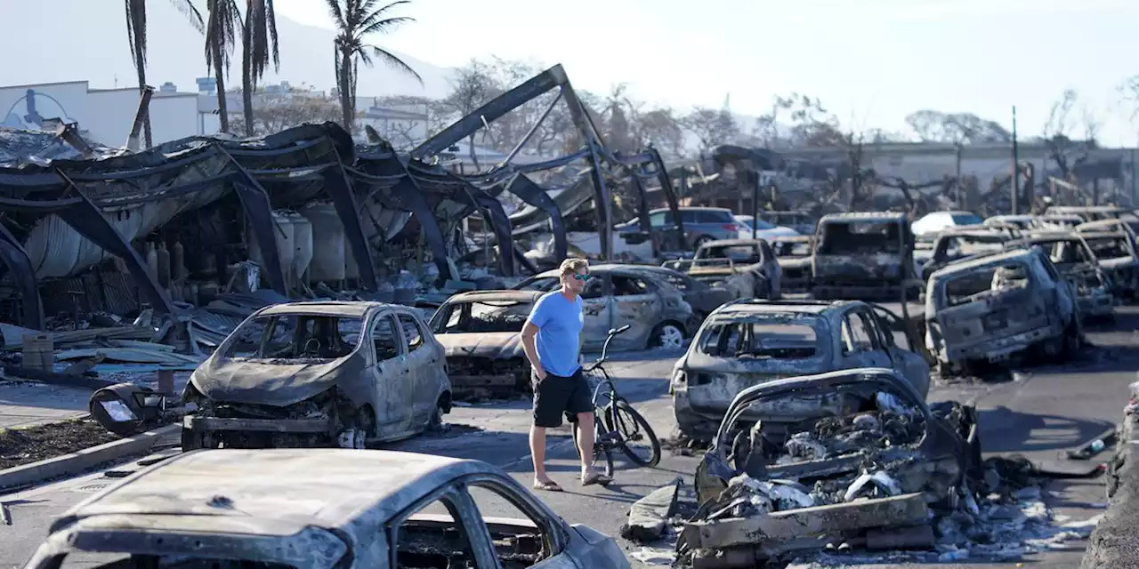 At least 80 deaths reported from Hawaii wildfires; recovery efforts continuing