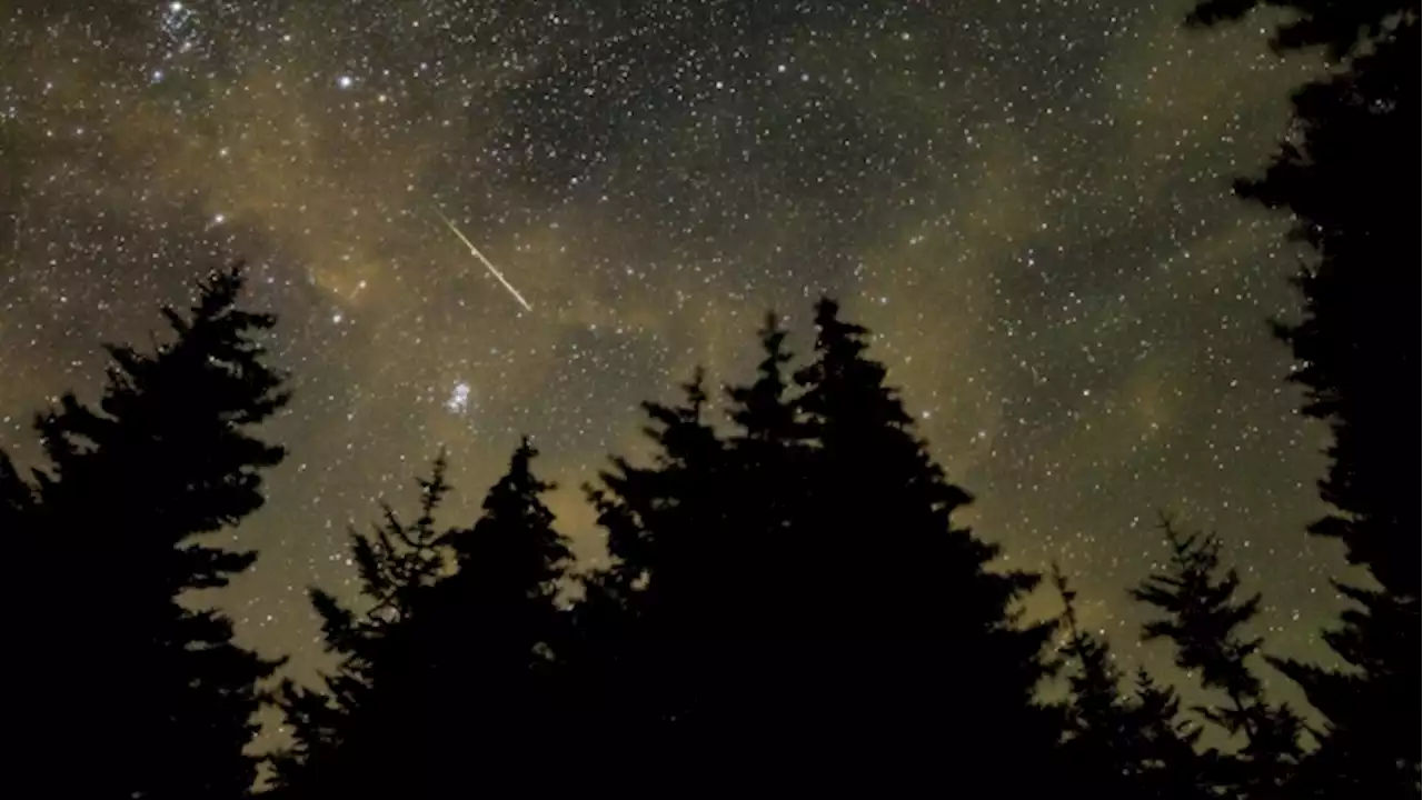 Perseid Meteor Shower: Best Time to See Shooting Stars