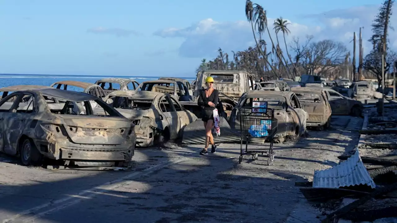 Wildfires in Maui Leave Devastation and Loss