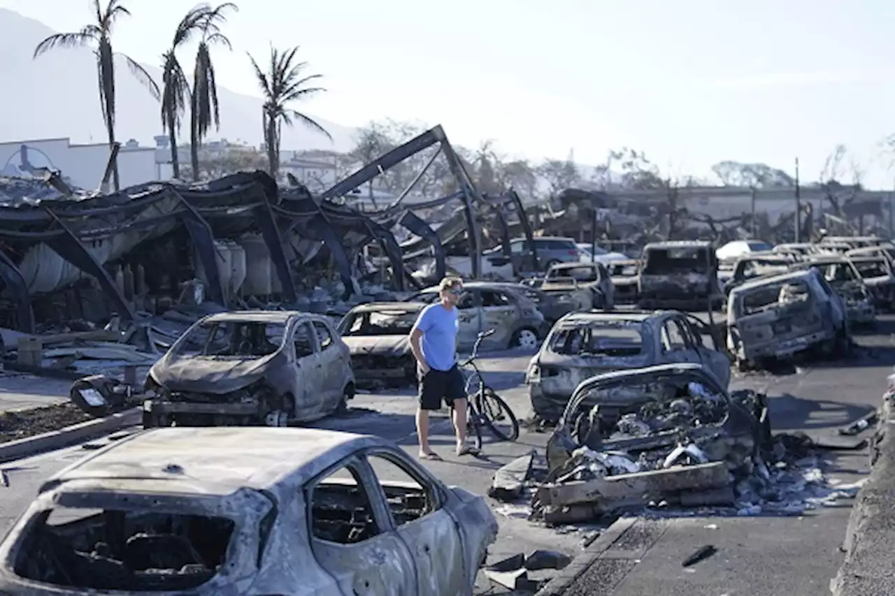 New fire prompts evacuation as survivors of Hawaii wildfires return after death toll rises to 67