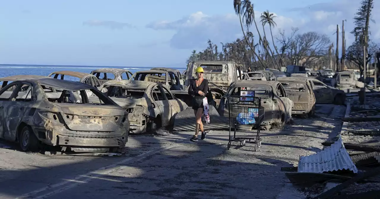 Hawaii fire: Death toll rises to 67 as firefighting efforts continue