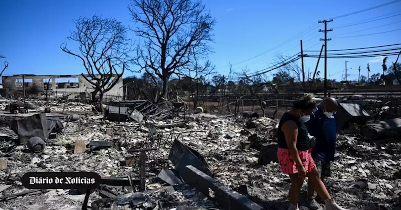 Havai abre inquérito sobre gestão de incêndios florestais que já fizeram 80 mortos