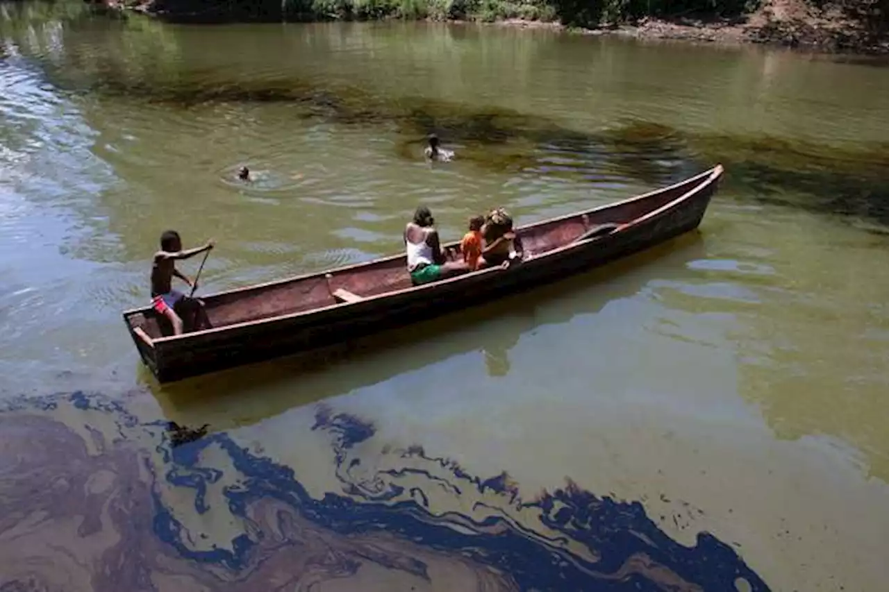 Destrucción de naturaleza en Nariño a manos de las Farc fue crimen de guerra: JEP