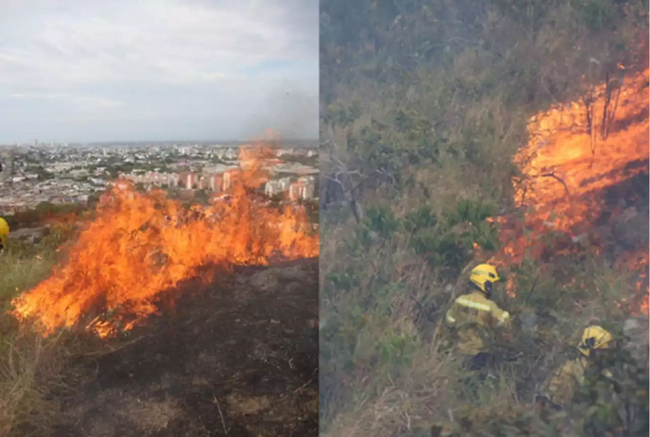 Alerta por incendio en cerro tutelar de Cali: bomberos luchan contra el voraz fuego