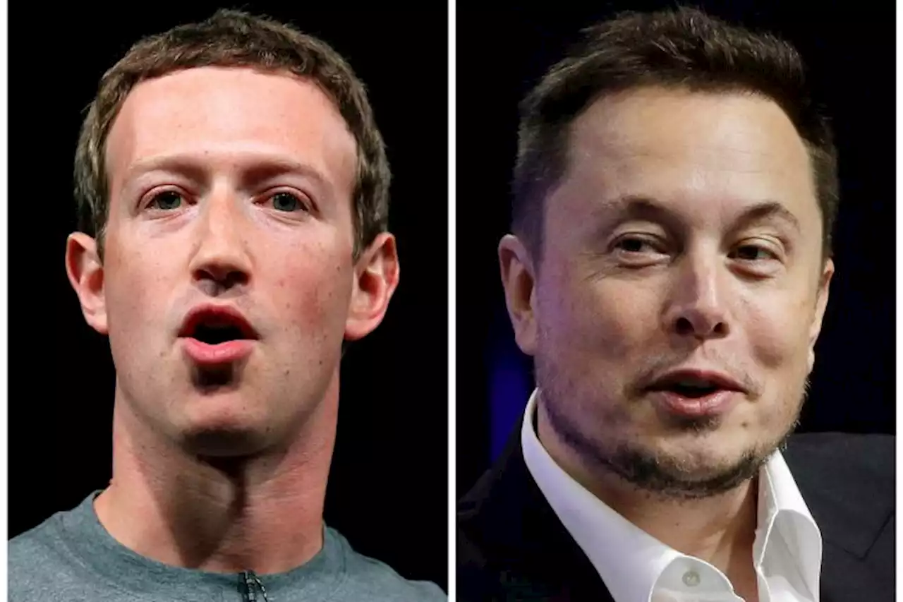 Elon Musk Announces Cage Match Against Mark Zuckerberg in Rome