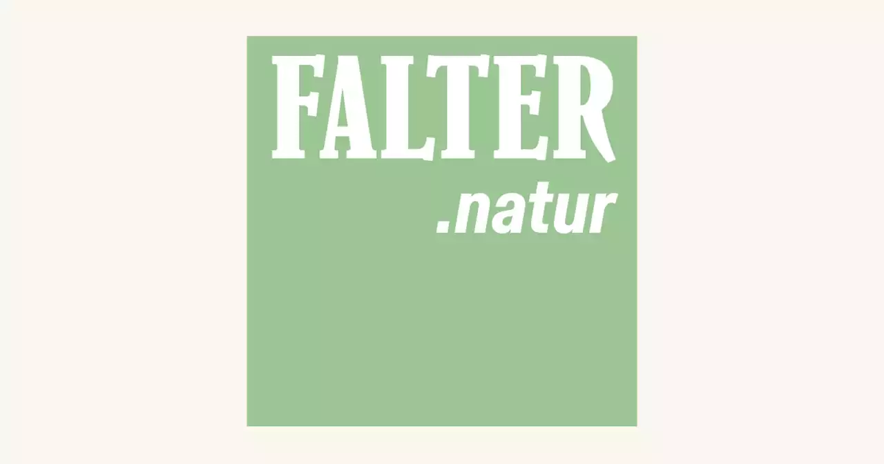 FALTER.natur abonnieren