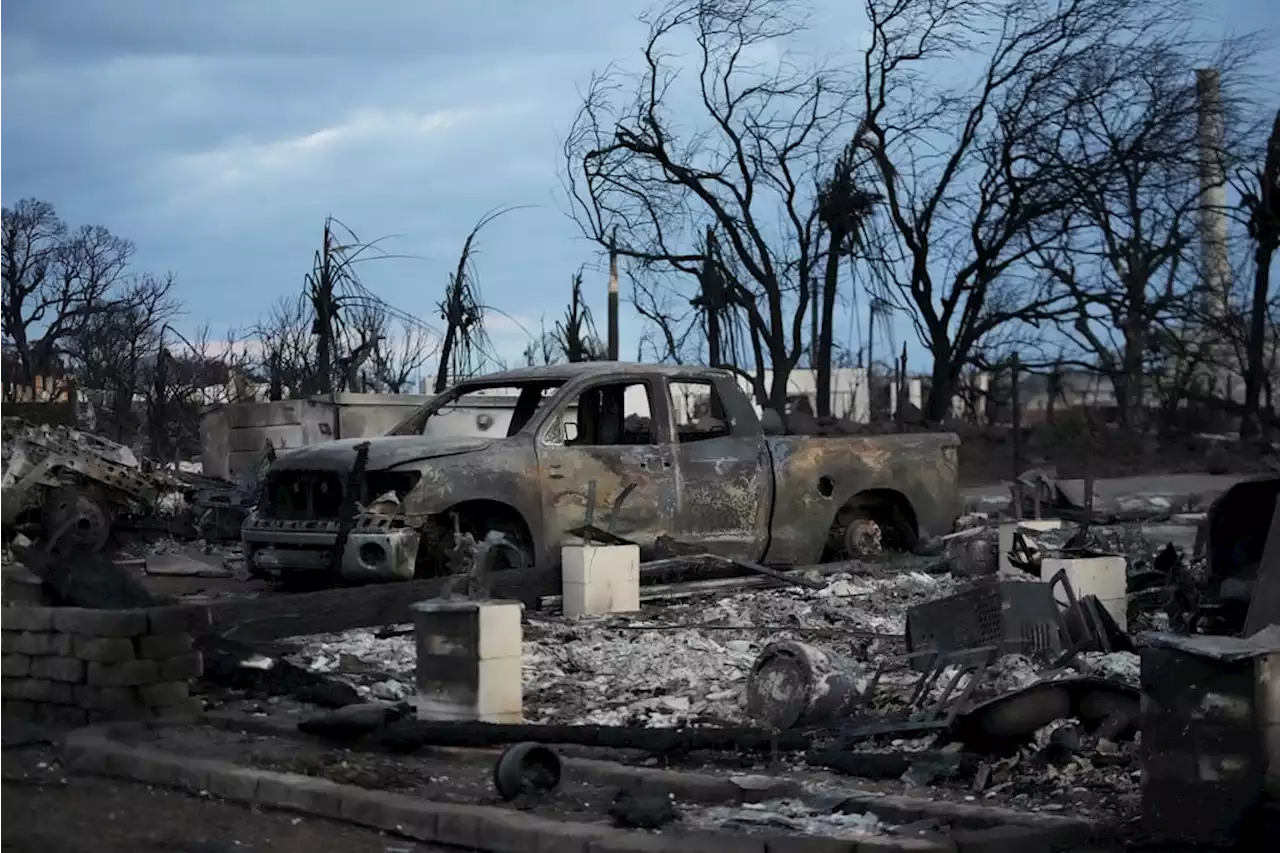 Maui wildfire kills 59, leaves painful questions in its wake