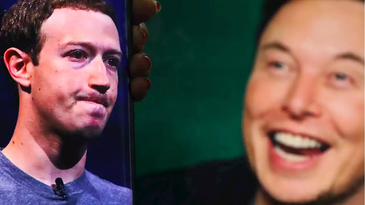 Elon Musk affirme que son 'combat' en cage contre Mark Zuckerberg aura lieu en Italie