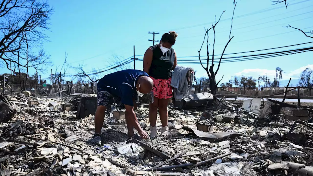 Incendies à Hawaï : pourquoi les feux ont été si meurtriers