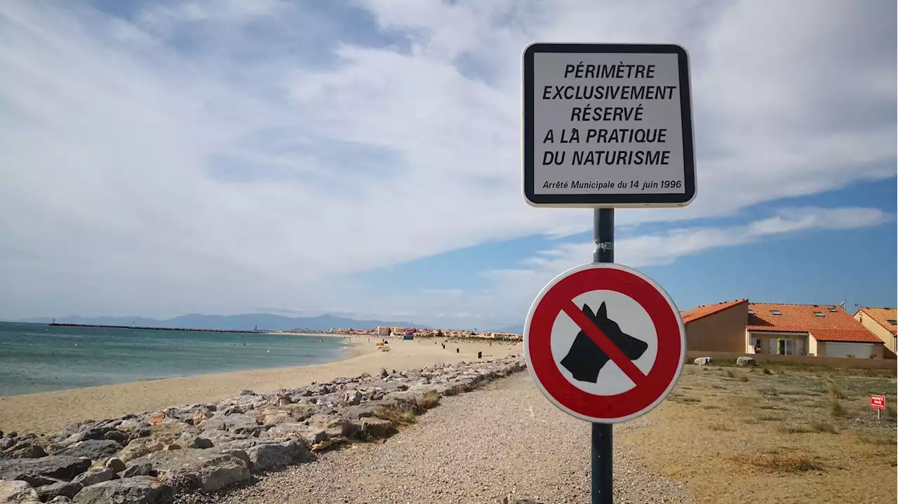 L'info de l'Histoire : la chasse aux naturistes dans 'Le gendarme de Saint-Tropez', une histoire vraie