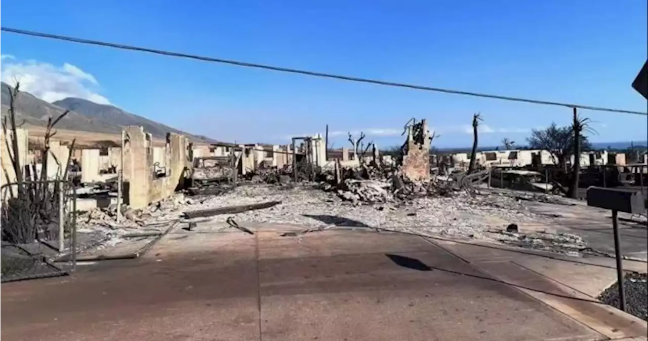 Tourists Escape Devastation as Wildfires Burn Through Lahaina