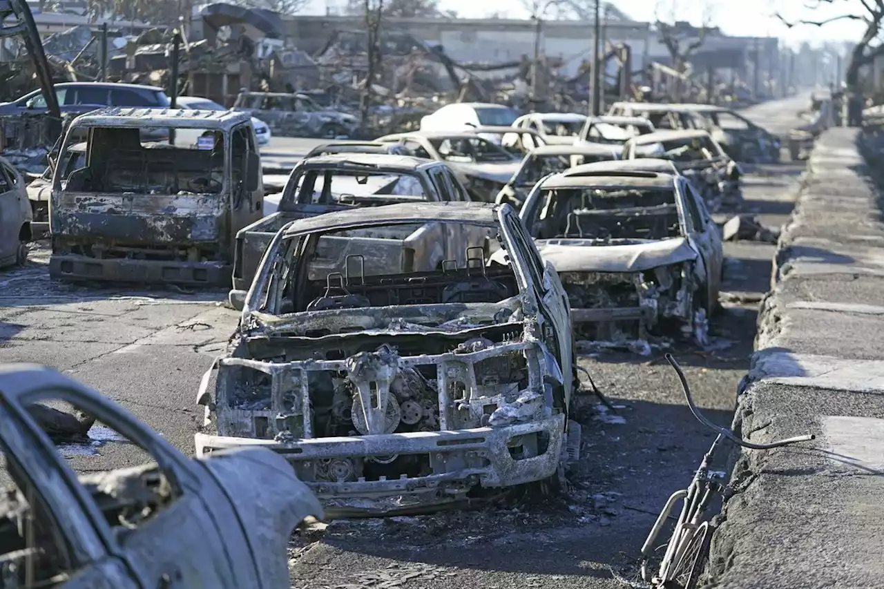 Wildfires Destroy Buildings in Lahaina, Hawaii