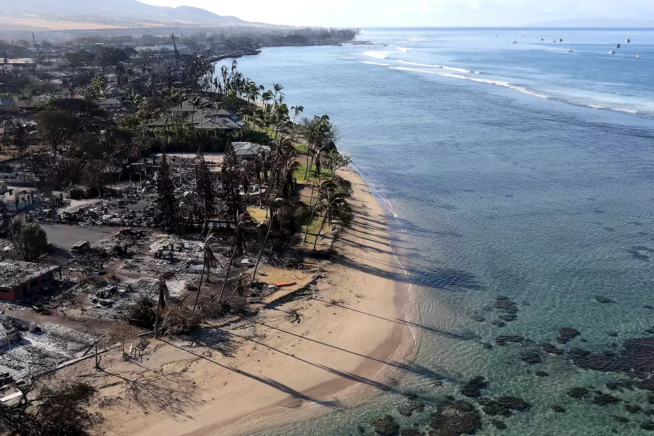 Maui Death Toll Rises To 67