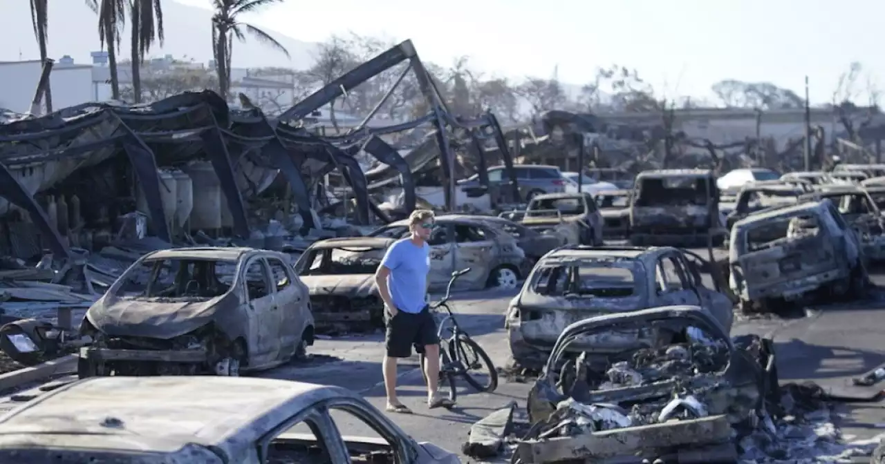 Death toll rises to 80 in Maui wildfires as survivors begin returning