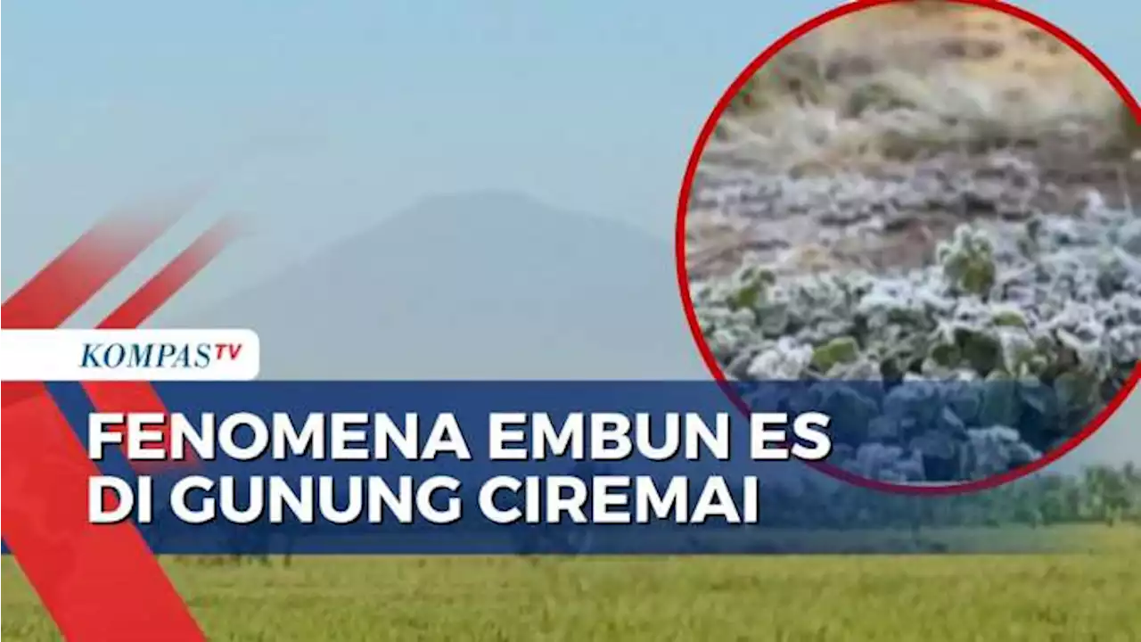 Begini Penampakan Fenomena Embun Es yang Selimuti Gunung Ciremai di Majalengka