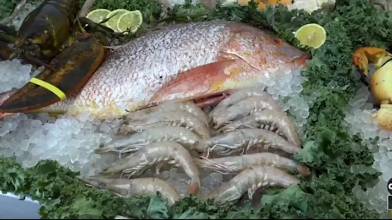 Tips to handle, cook seafood safely