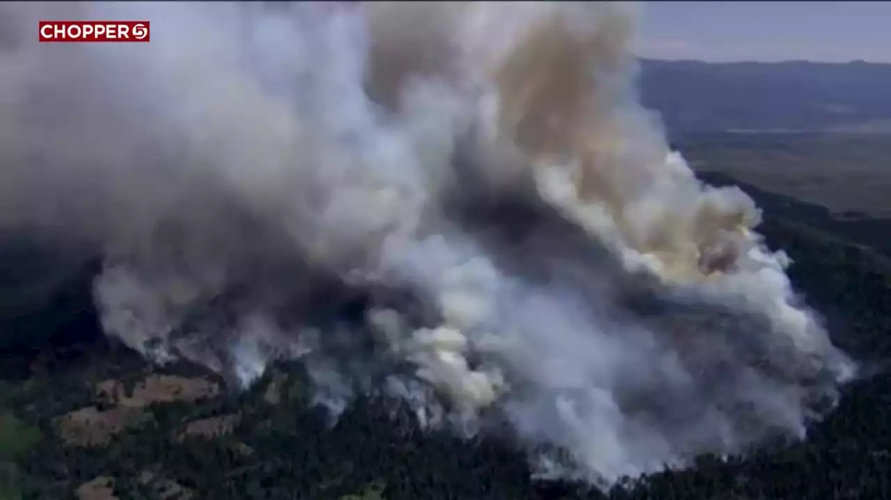 Rain falls on Thompson Ridge Fire, minimizing fire activity