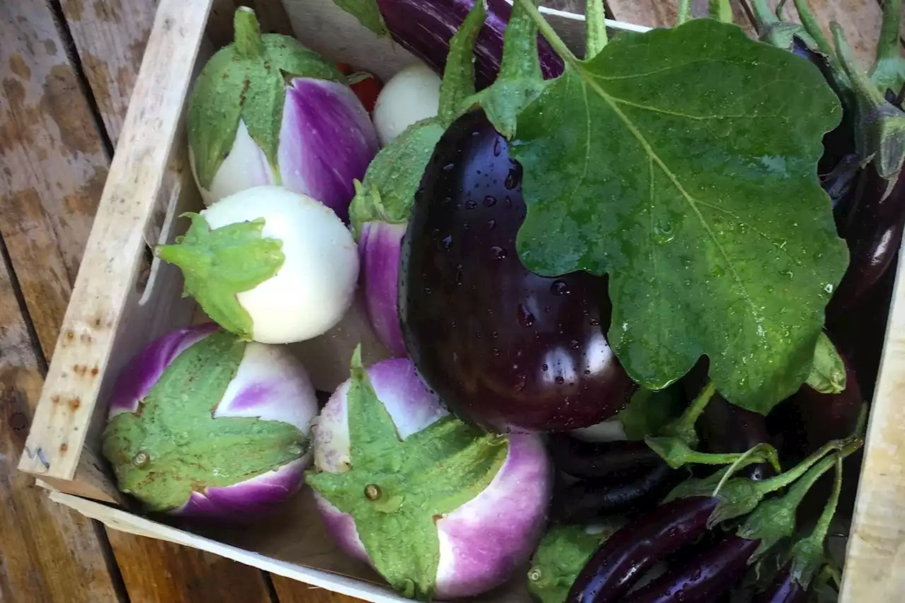 Des recettes d’aubergine pour voyager en Italie