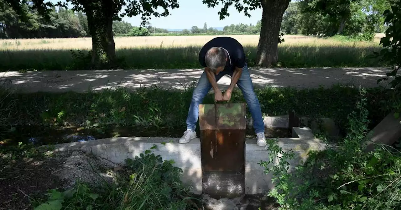 En Provence, quand irrigation agricole, nappe phréatique et biodiversité font bon ménage