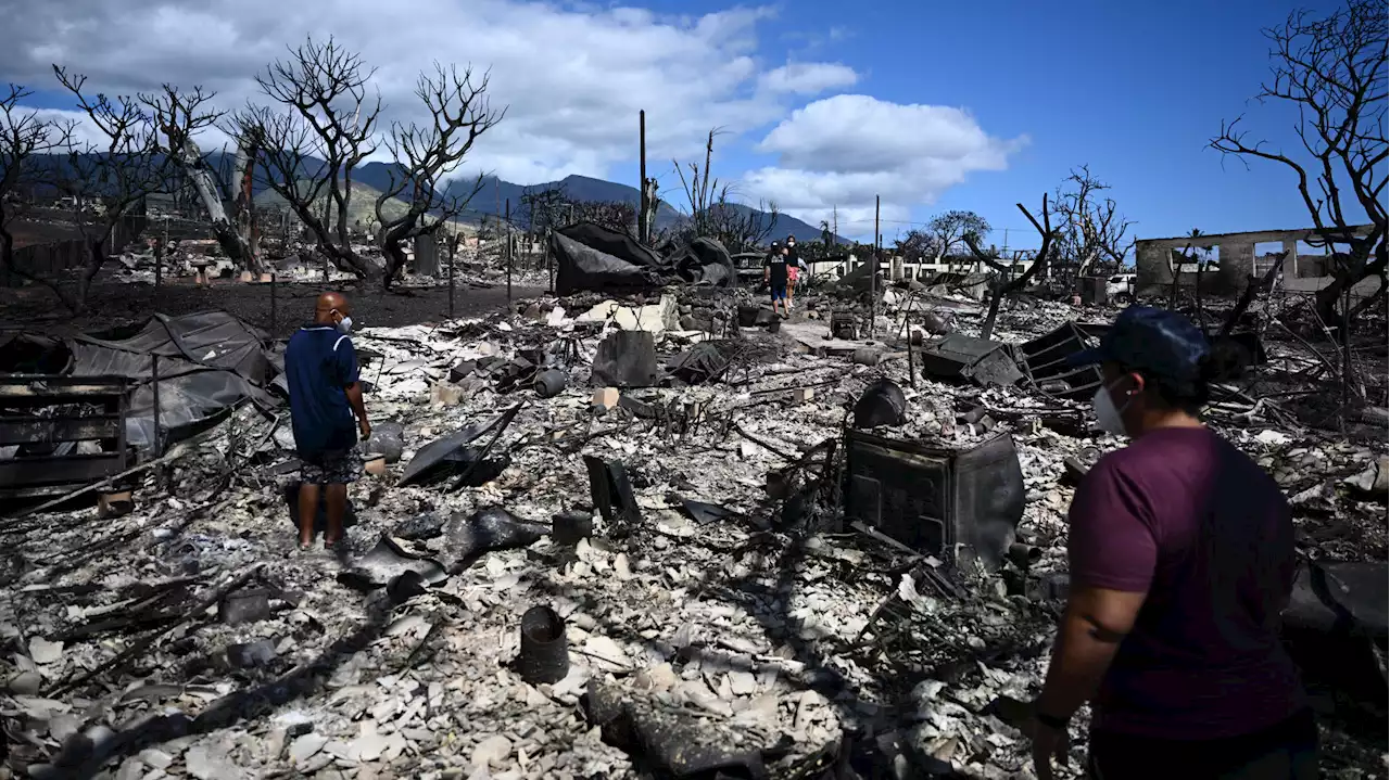 Pourquoi le bilan des incendies dramatiques à Hawaï est-il si lourd ?