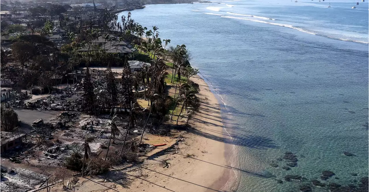 Plus de 80 morts dans les incendies à Hawaï: ce que l'on sait du carnage