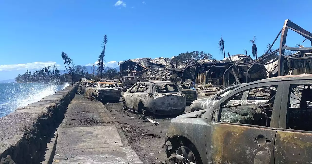 Incendies à Hawaï: au moins 80 morts, enquête ouverte sur la gestion de la crise