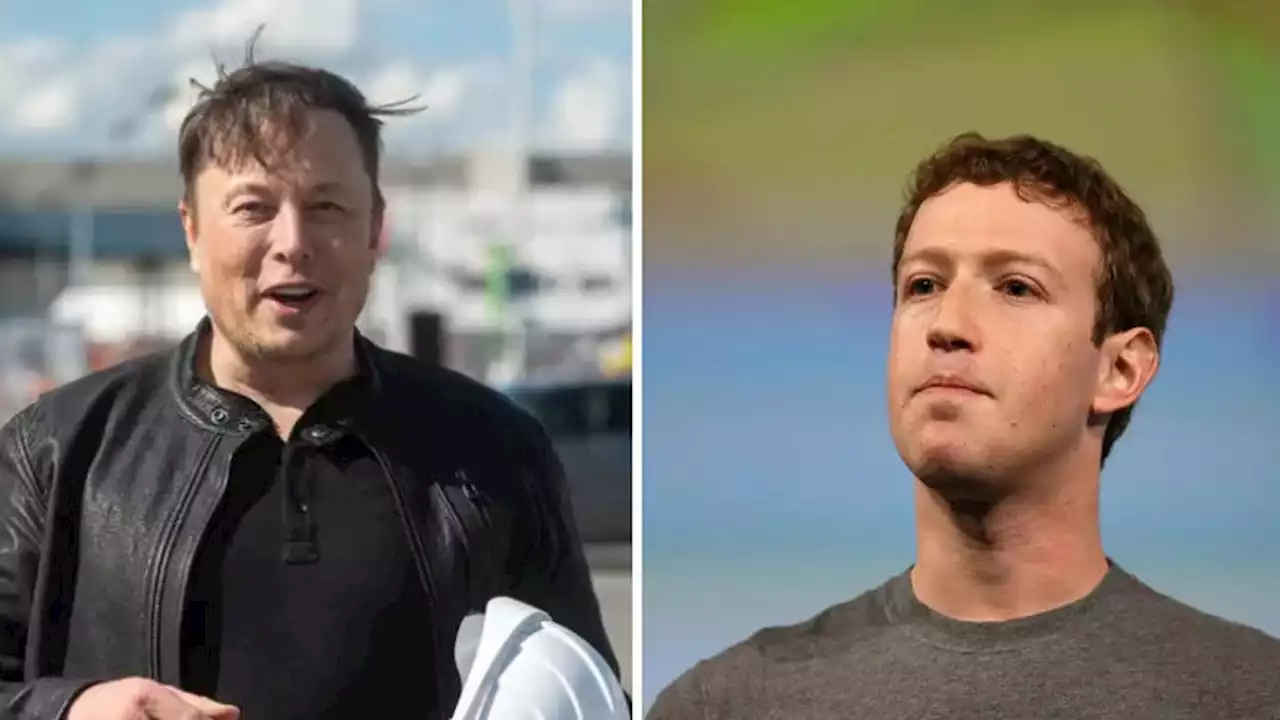 Mark Zuckerberg Siap Duel Melawan Elon Musk Asal Libatkan UFC atau ONE Championship