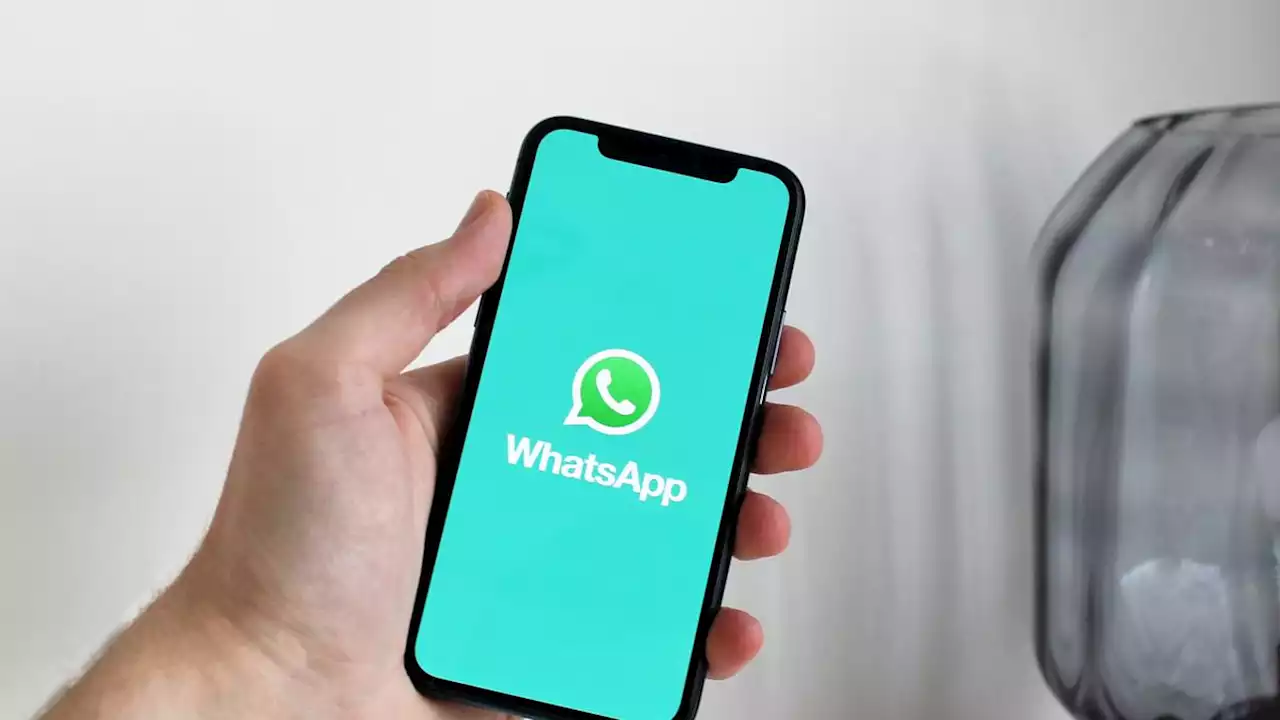 WhatsApp Uji Coba Satu Perangkat Dua Akun untuk Para Pengguna Versi Beta