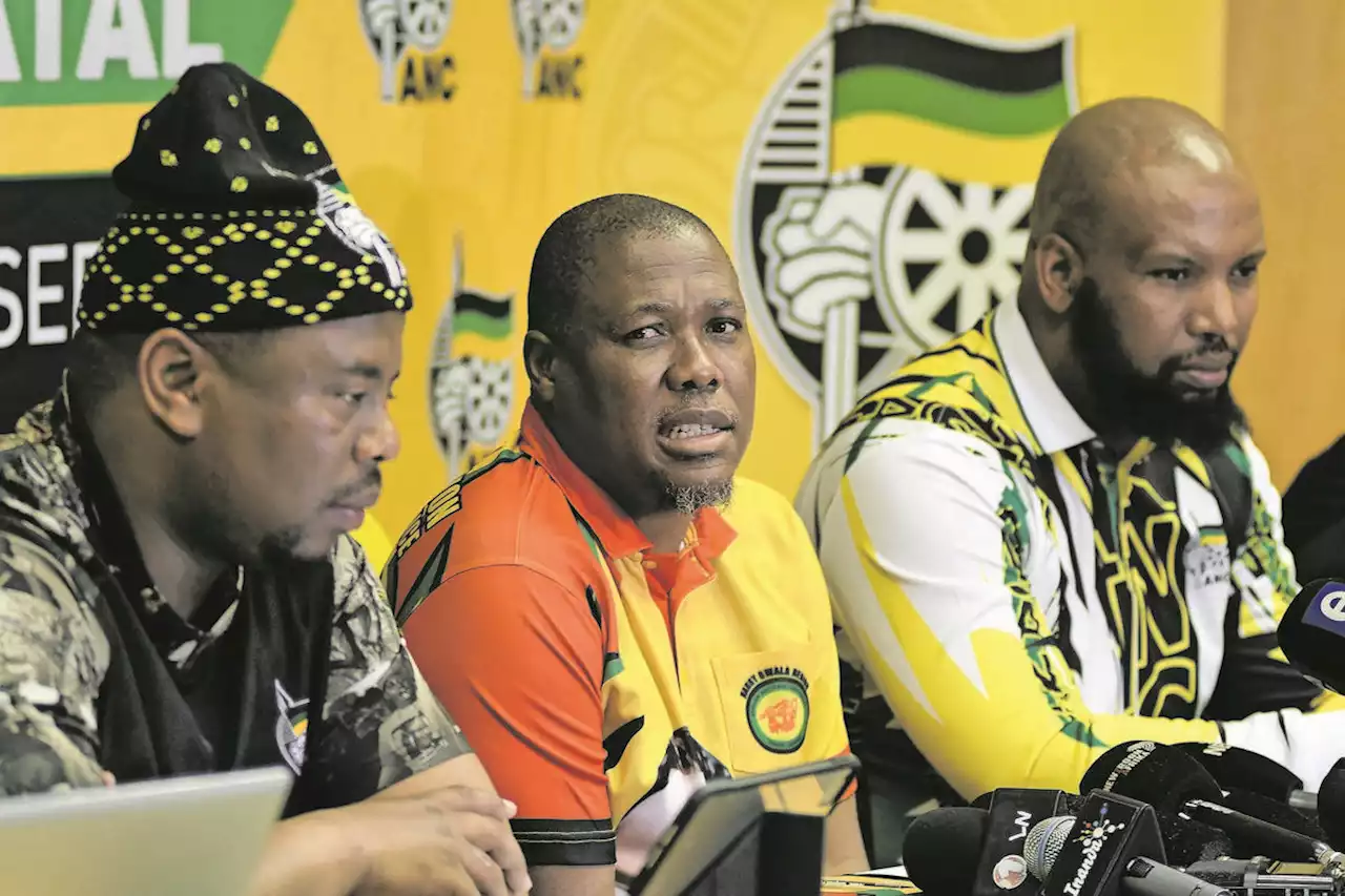 IFP says no to alliance with ANC