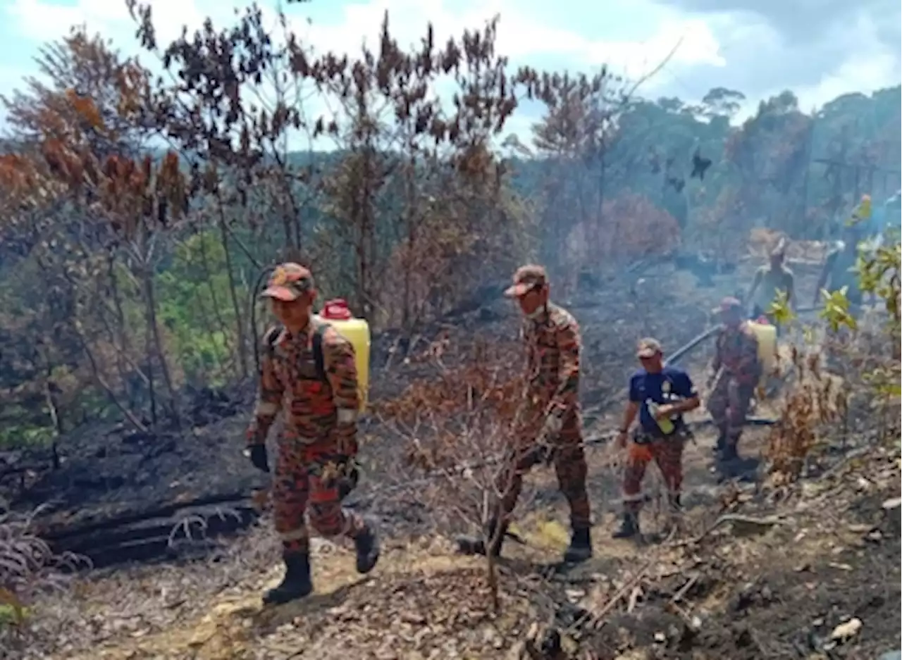 Sarawak firefighters finally beat forest fire near Lambir National Park after three days