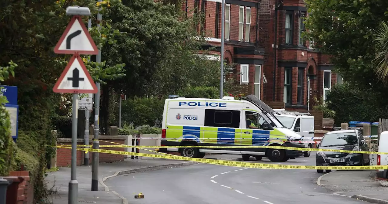 BREAKING: Shots fired on street as man chased after vehicle smashed up