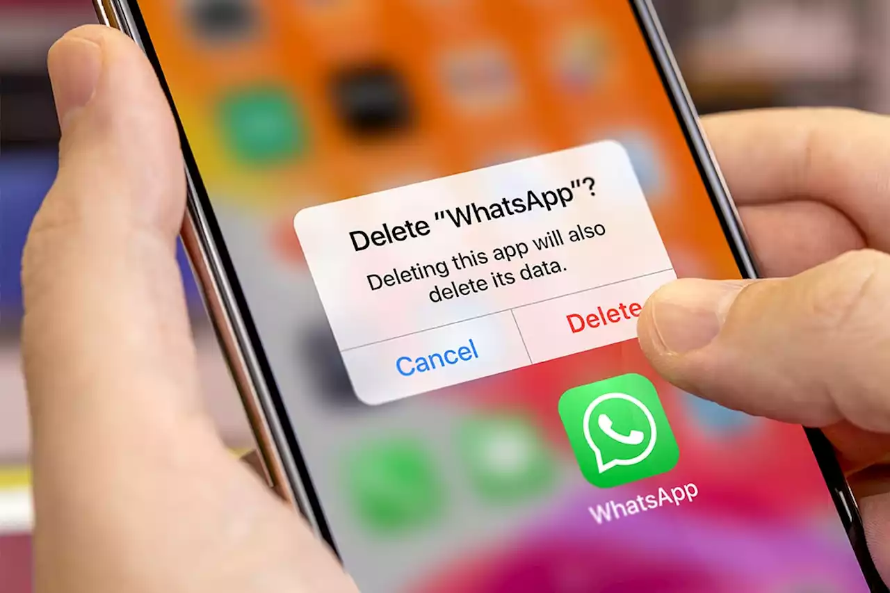 Dropping WhatsApp in South Africa — These are the best alternatives