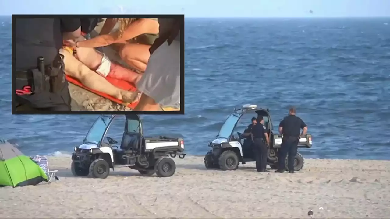 Drones to fly rest of summer over NYC beaches after serious shark bite, first in decades