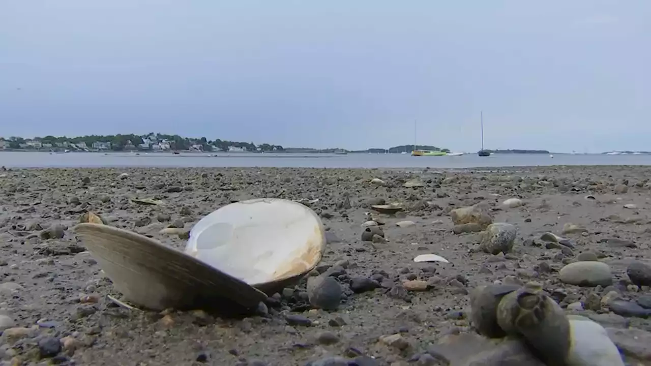 Amid persistent beach closures, Mass. gets federal water quality grant